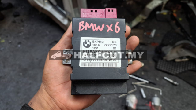 BMW X6 ECU (091381511)