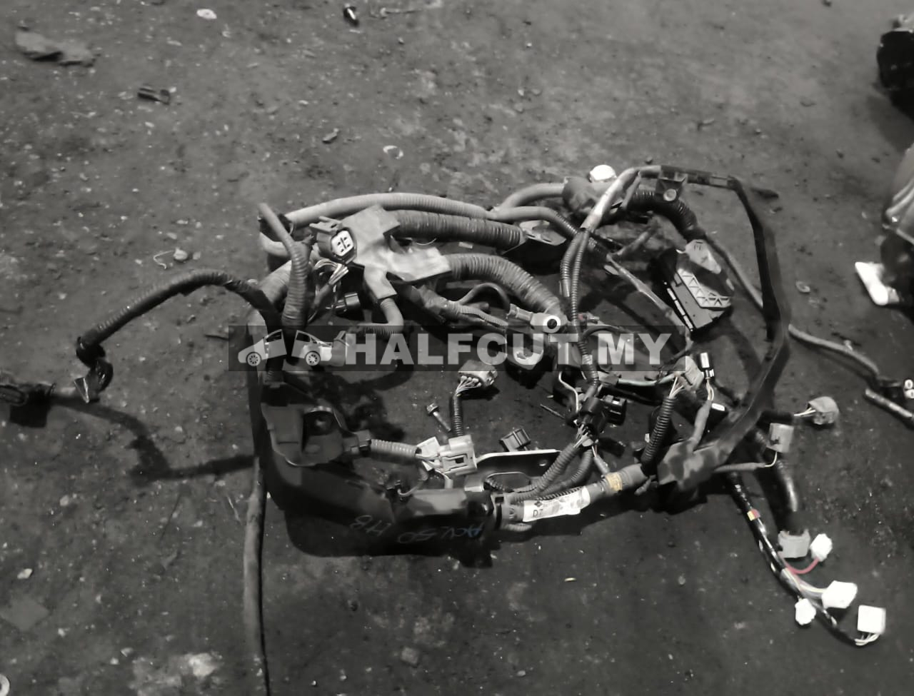 TOYOTA CAMRY ACV50 HB ENGINE WAYARING